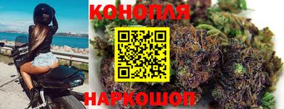 герыч Моздок