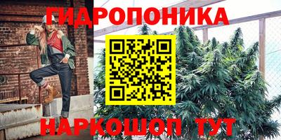 герыч Моздок